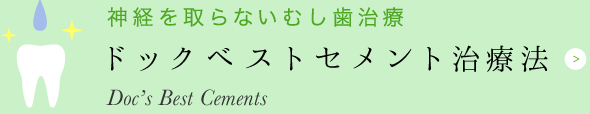 ドックベストセメント治療法